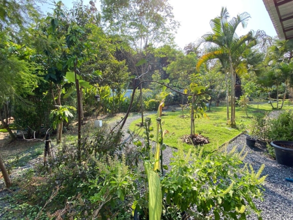 3 Bedroom House for sale-P-PHS1087