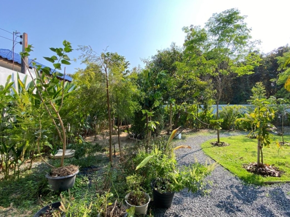 3 Bedroom House for sale-P-PHS1087