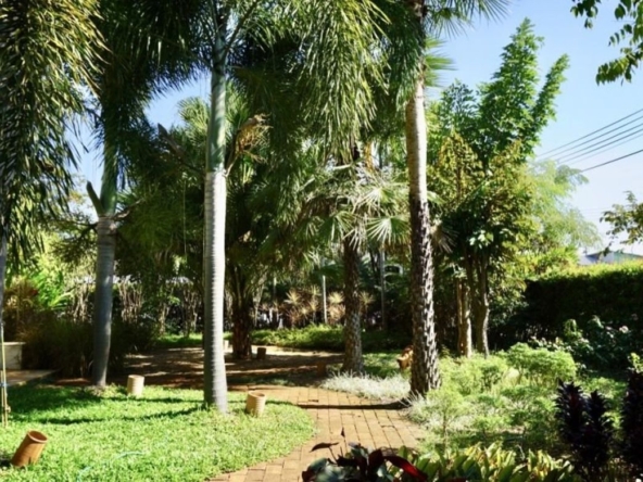 Chiang Mai-P-PHS220