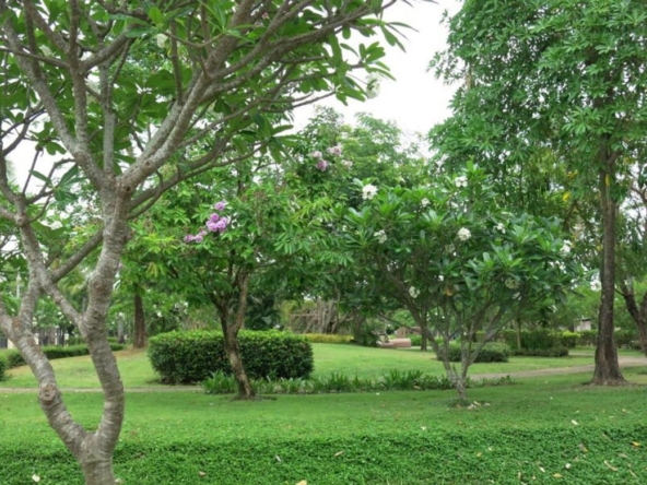 A spacious house 3 bed for rent or sale in Doi Saket