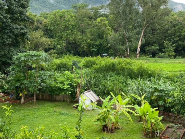 4 bed house for rent or sale in Doi Saket