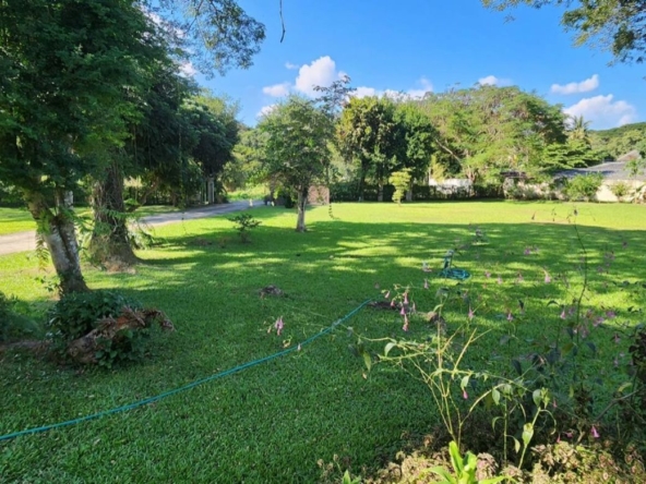 4 bed house for rent or sale in Doi Saket