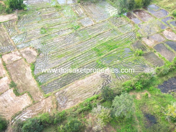 Doi Saket-DSP-(LS400-07) 7-Rai Plot of Land for Sale in Luang Nuea