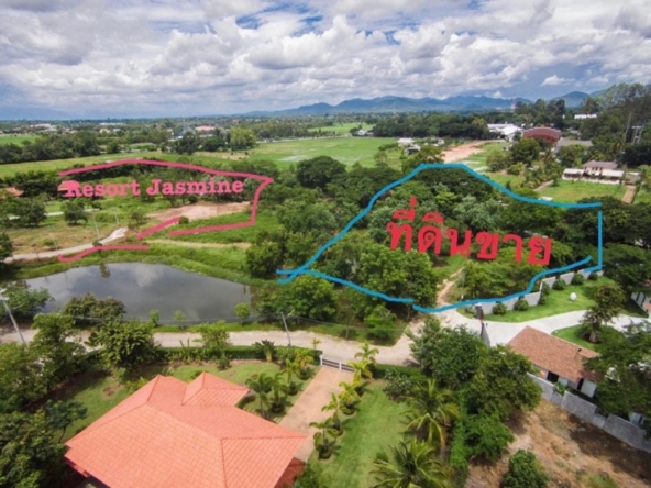 Chiang Mai-P-PLS1068