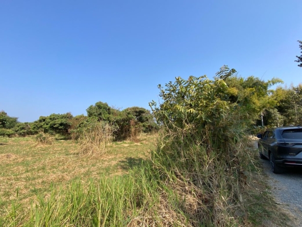 Land for Sale in Nam Phrae