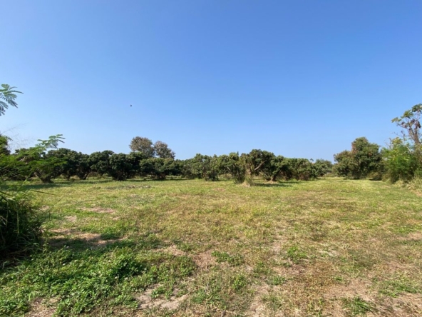Land for Sale in Nam Phrae