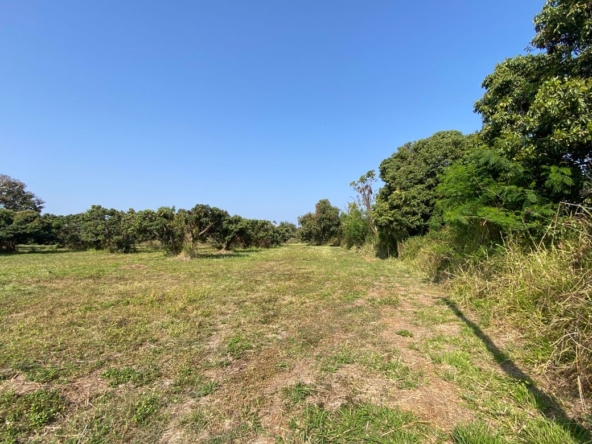 Land for Sale in Nam Phrae