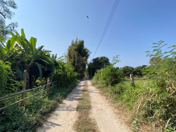 Chiang Mai-P-PLS1085