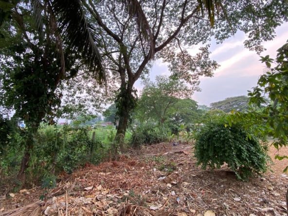 Chiang Mai-P-PLS921