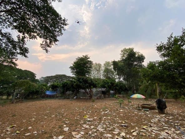 A nice size of land in Nam Phrae for sale