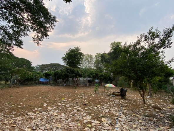 A nice size of land in Nam Phrae for sale