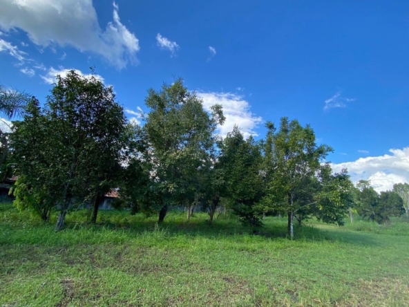 Land for sale-P-PLS1057