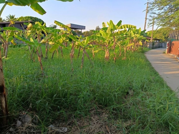 Land for sale-P-PLS1032