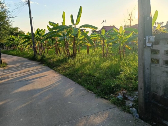Land for sale-P-PLS1032
