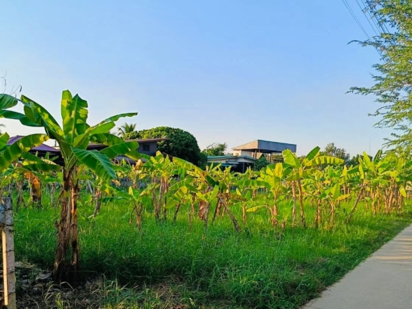 Land for sale-P-PLS1032