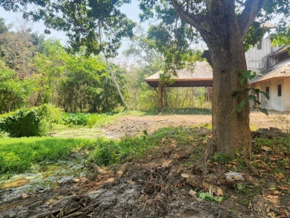 Chiang Mai-P-PLS1105