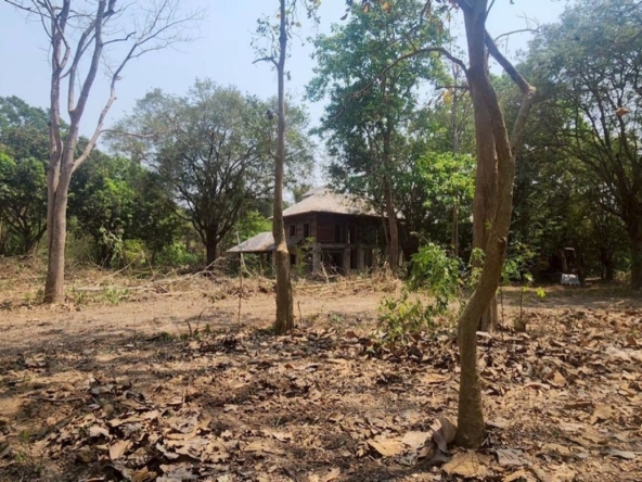 A large plot of land for sale in Mae Rim