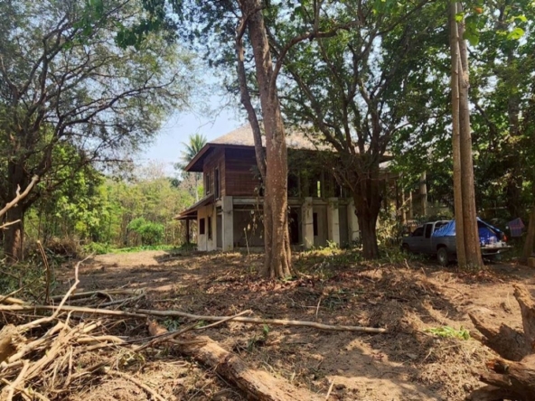 Chiang Mai-P-PLS1105