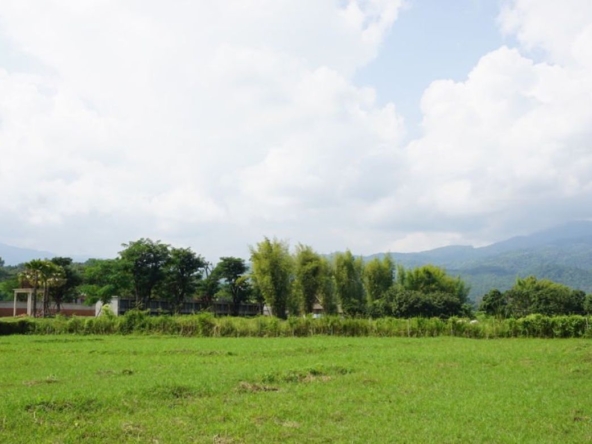 Large plot of land with mountain views for sale in Mae Rim