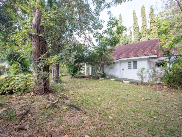 Land for Sale : Prime Location Near Wat Umong-PH-SUT096