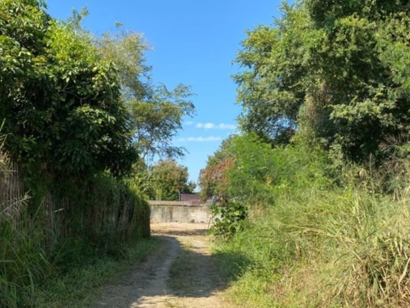 Good size of land for sale in Chang Phueak