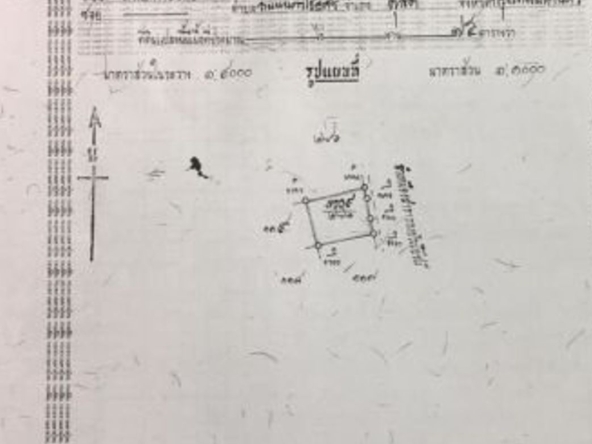 Good size of land for sale in Chang Phueak