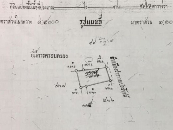 Chiang Mai-P-PLS509