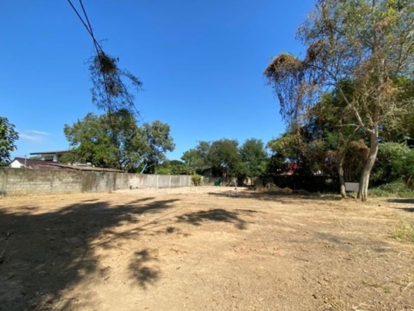 Good size of land for sale in Chang Phueak