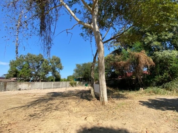 Good size of land for sale in Chang Phueak