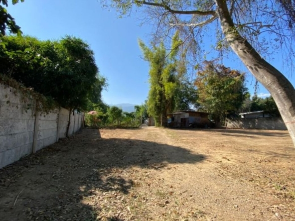Good size of land for sale in Chang Phueak
