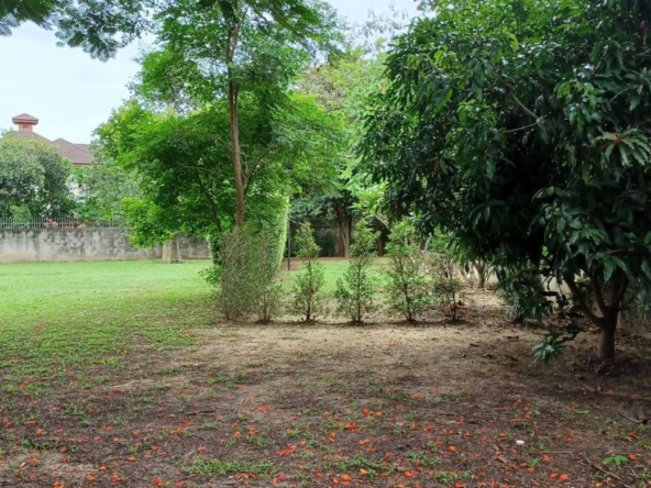 Land for sale near Mee Chok Plaza