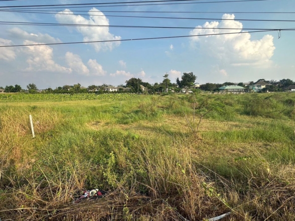 A large plot of land for sale in Sankhampeang