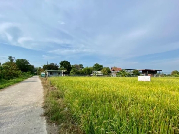 A nice plot of land for sell in Sankhampeang-P-PLS132