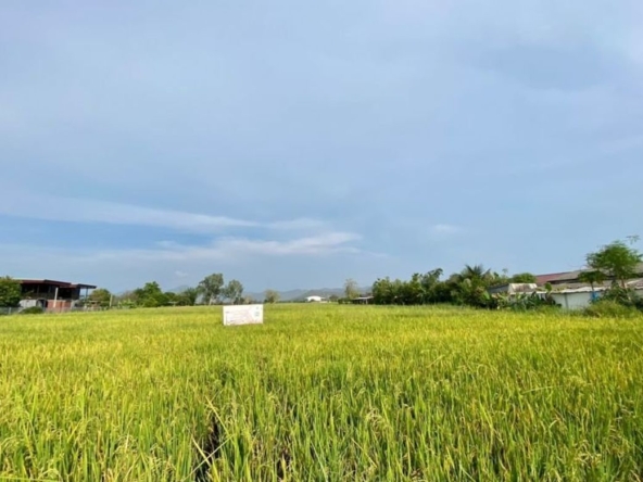 A nice plot of land for sell in Sankhampeang-P-PLS132