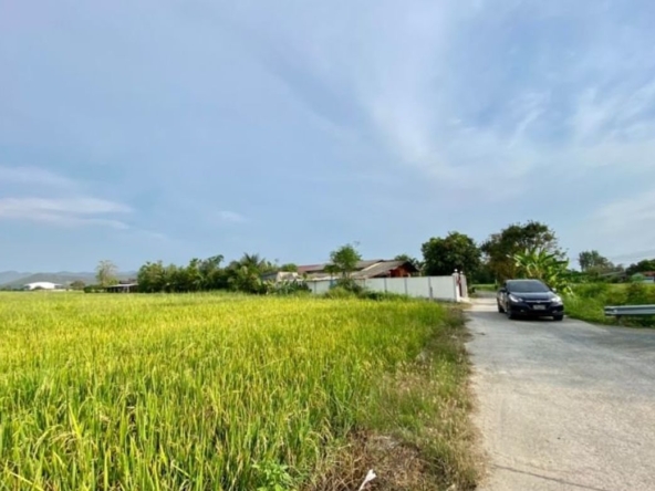 A nice plot of land for sell in Sankhampeang-P-PLS132