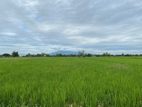 Chiang Mai-P-PLS682