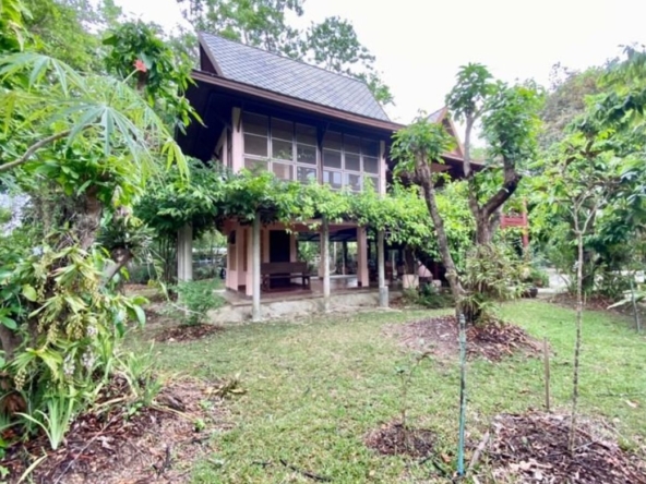 A nice plot of land for sale in San Khampeang-P-PLS578