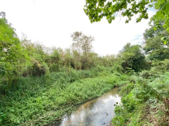 A nice plot of land for sale in San Khampeang-P-PLS578