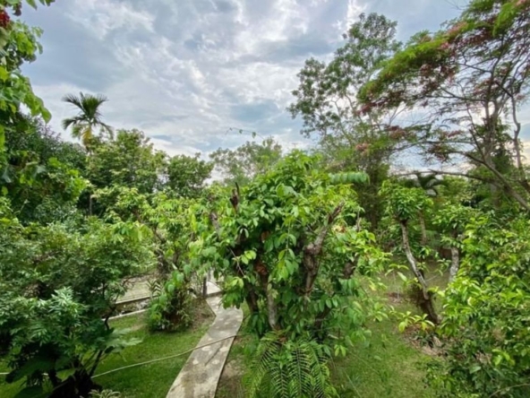 A nice plot of land for sale in San Khampeang-P-PLS578