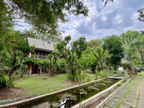 A nice plot of land for sale in San Khampeang-P-PLS578