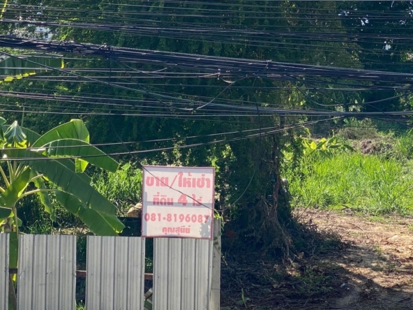 A house for rent for commercial space in Muang Chiang Mai-P-PCCR1140