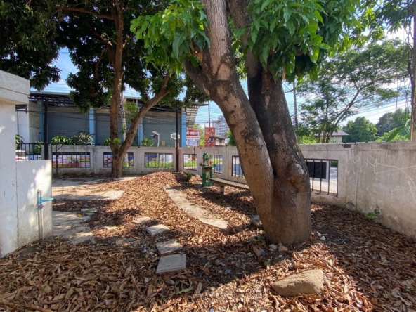 A house for rent for commercial space in Muang Chiang Mai-P-PCCR1140