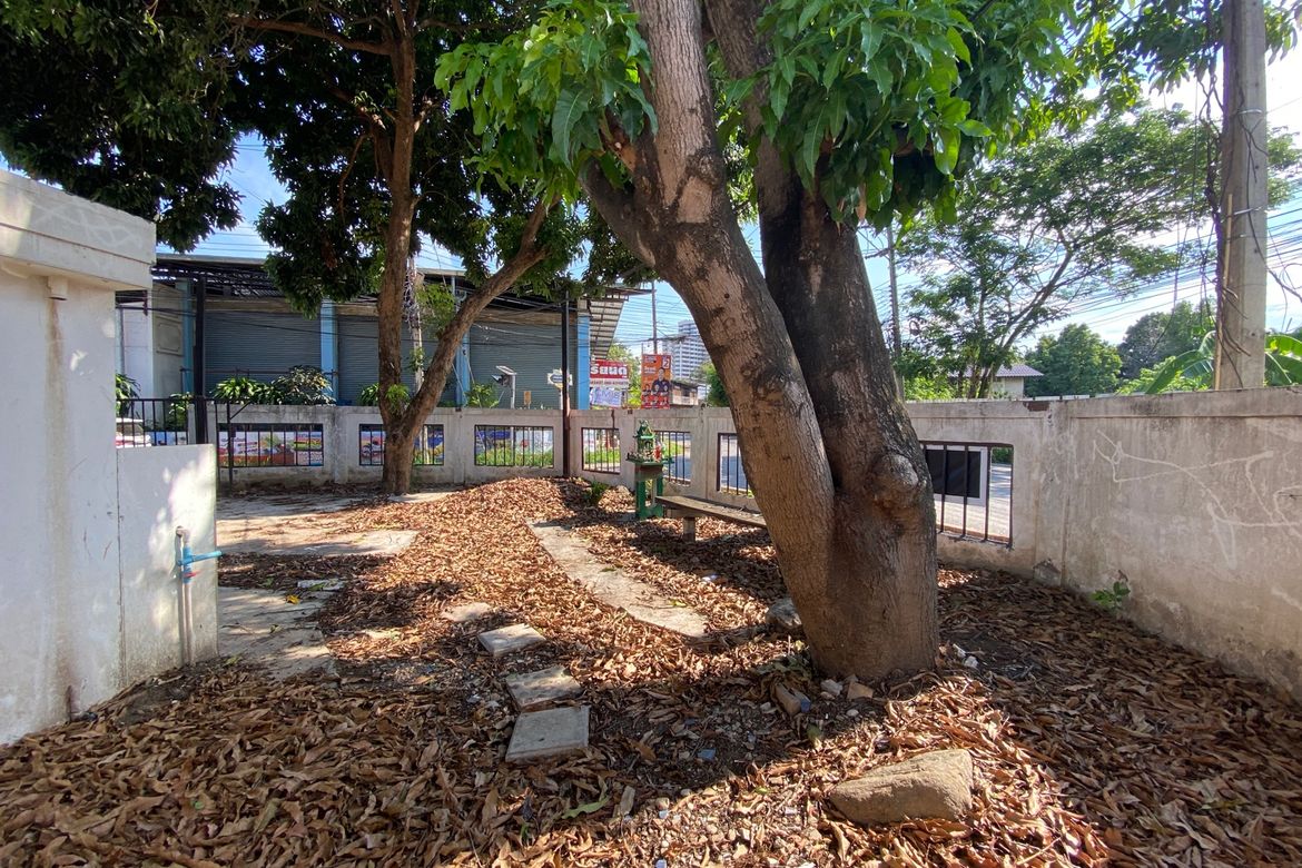 A house for rent for commercial space in Muang Chiang Mai-P-PCCR1140