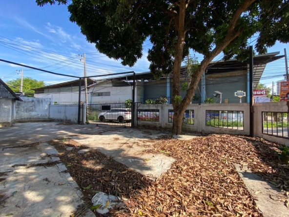 A house for rent for commercial space in Muang Chiang Mai-P-PCCR1140