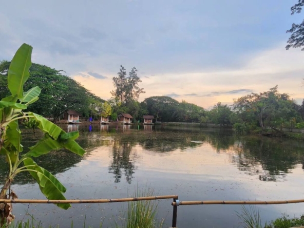 Chiang Mai-P-PCCS1133