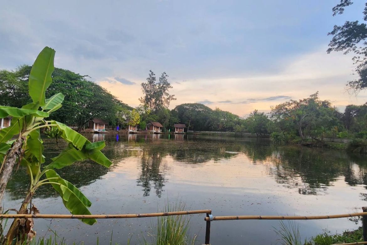 Chiang Mai-P-PCCS1133