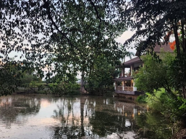 A large fishing park with restaurant for sale in Saraphi