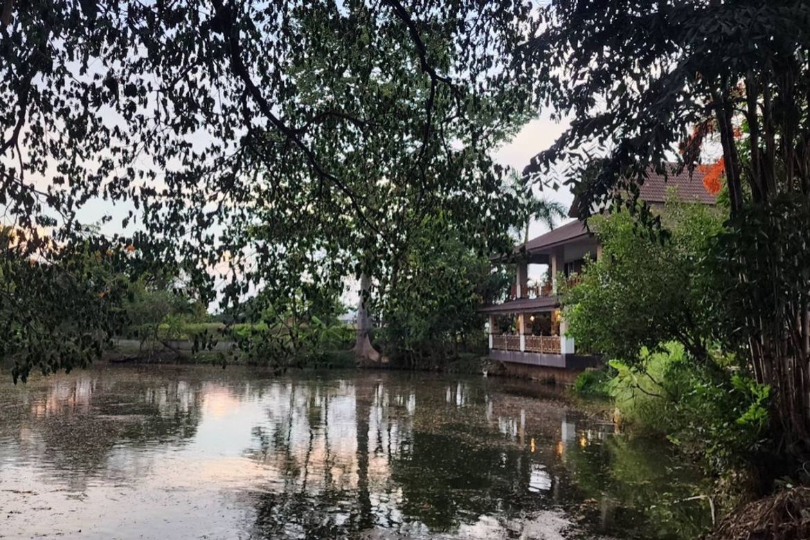 A large fishing park with restaurant for sale in Saraphi