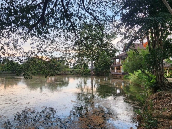 Chiang Mai-P-PCCS1133
