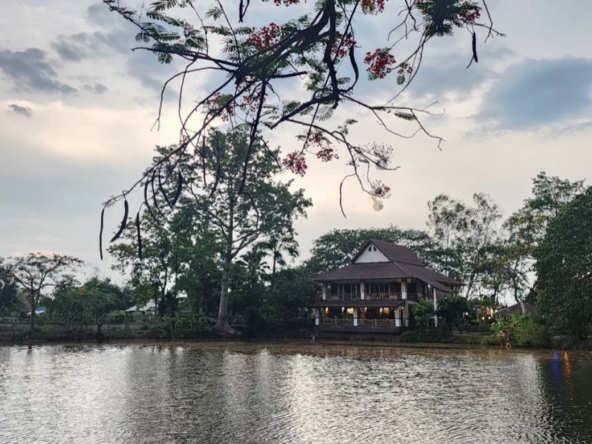 A large fishing park with restaurant for sale in Saraphi